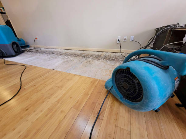 Professional Basement Flood Cleanup technician working in Mesquite, NV